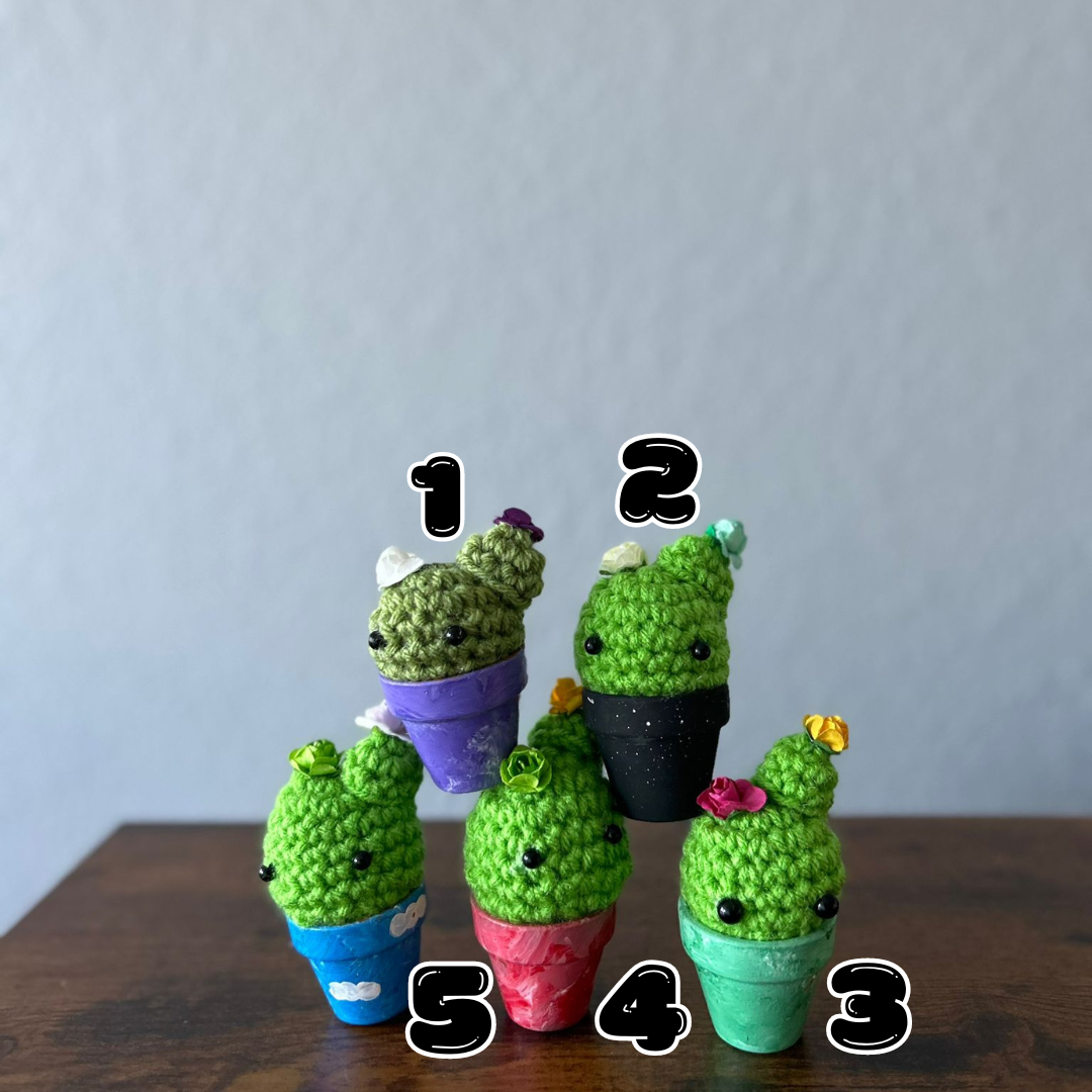 Mini Cactuses 🌵