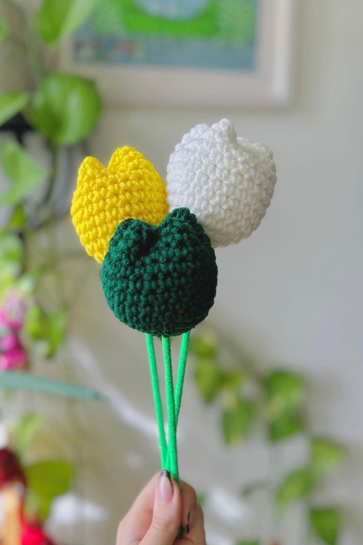 Tulipanes ๐ขึดเป๐ทอึ