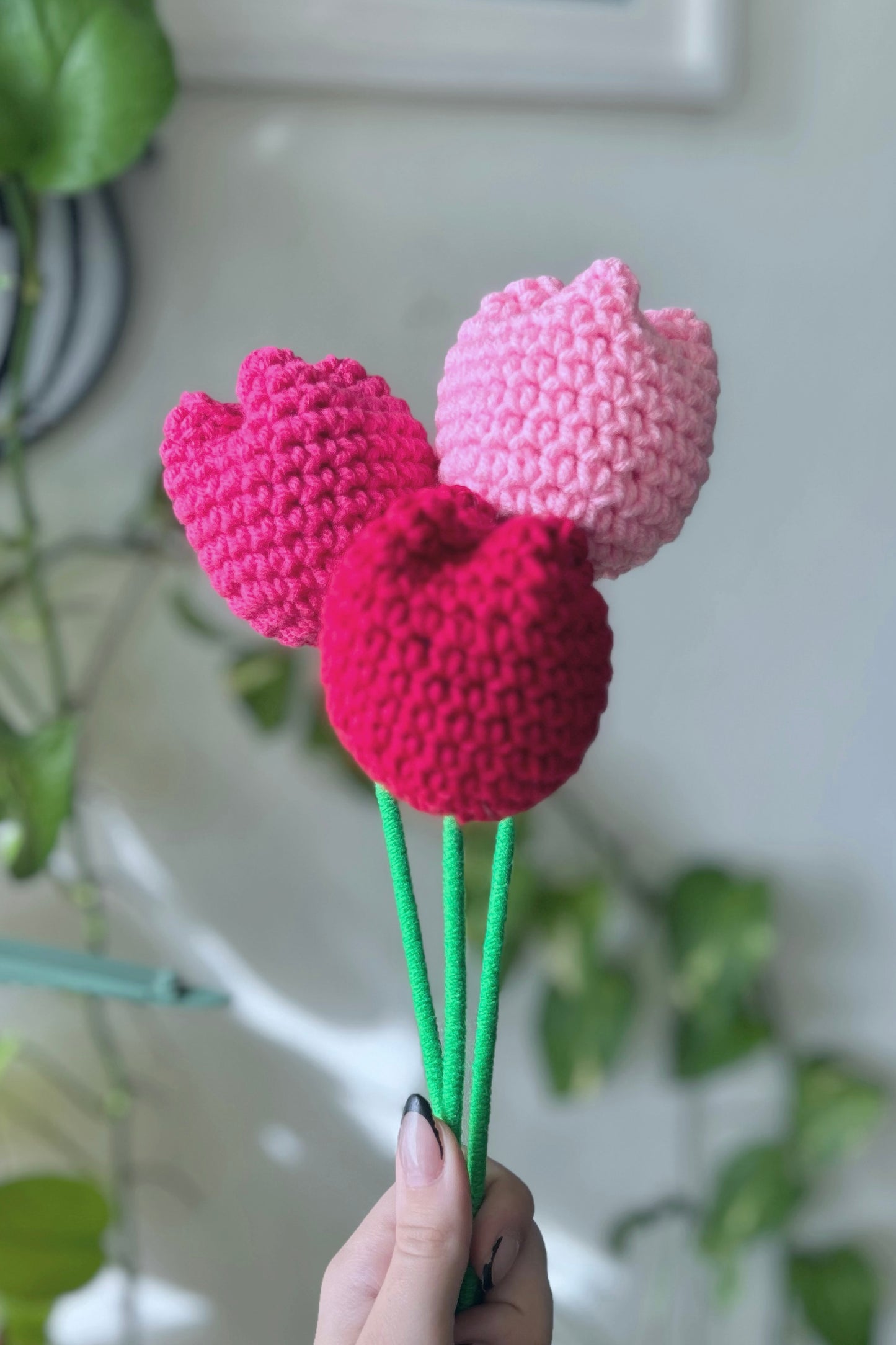 Tulipanes ๐ขึดเป๐ทอึ