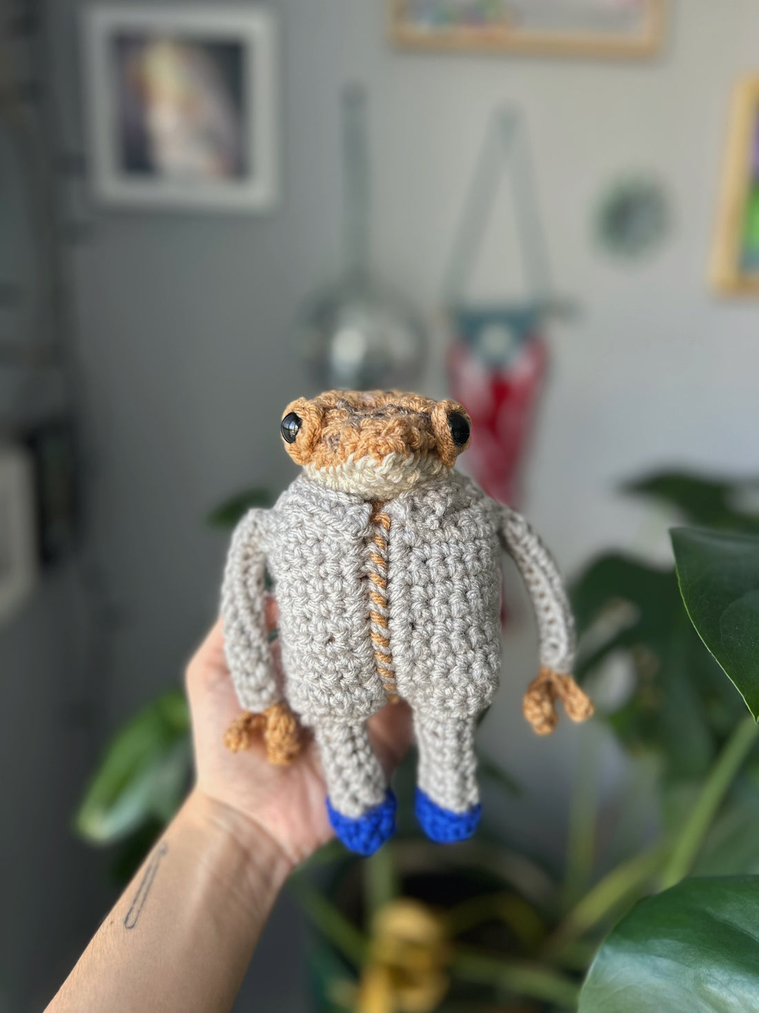 Órdenes de Concho🐸