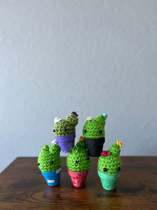 Mini Cactuses 🌵